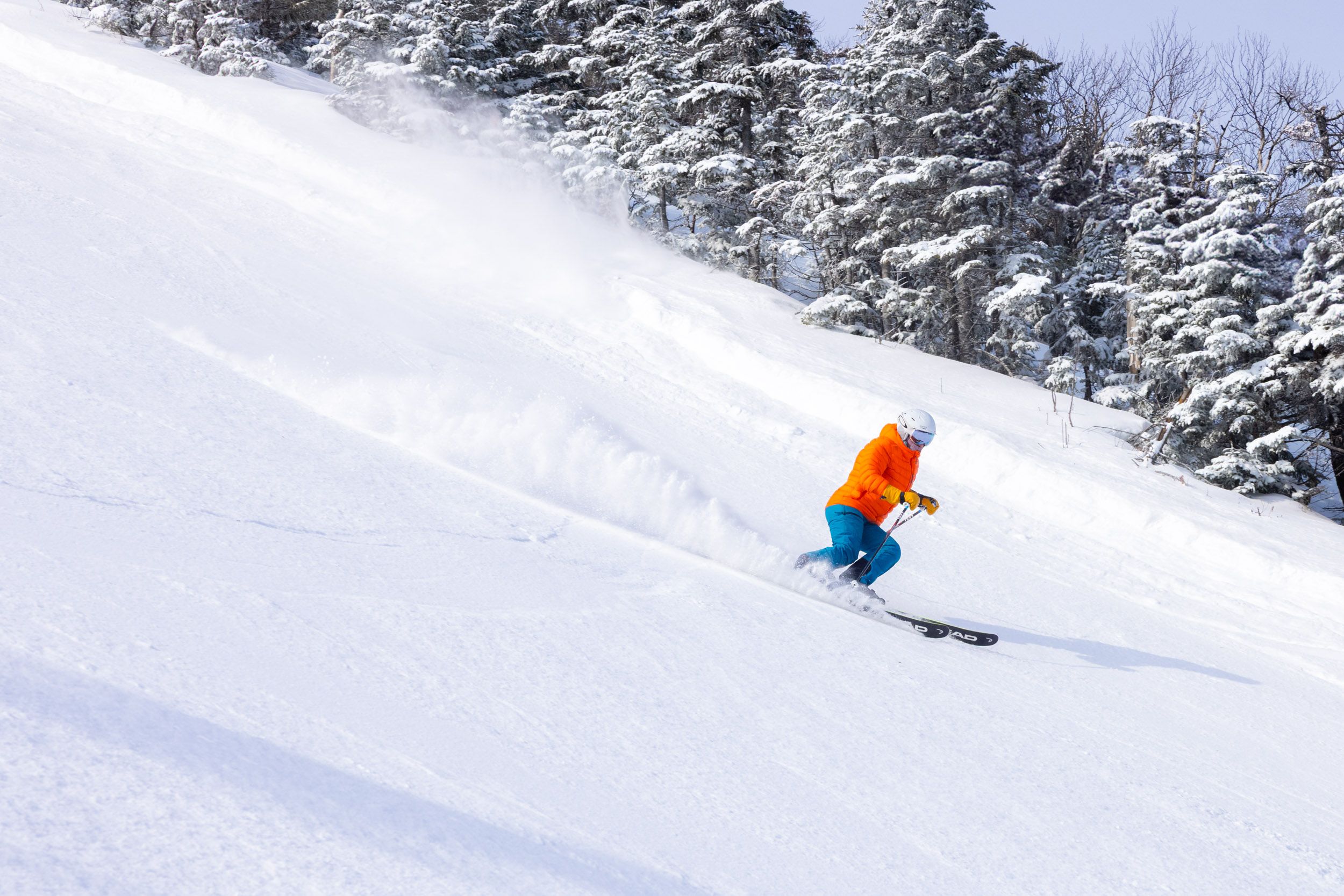 skier in orange jacket