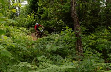 Mountain biker