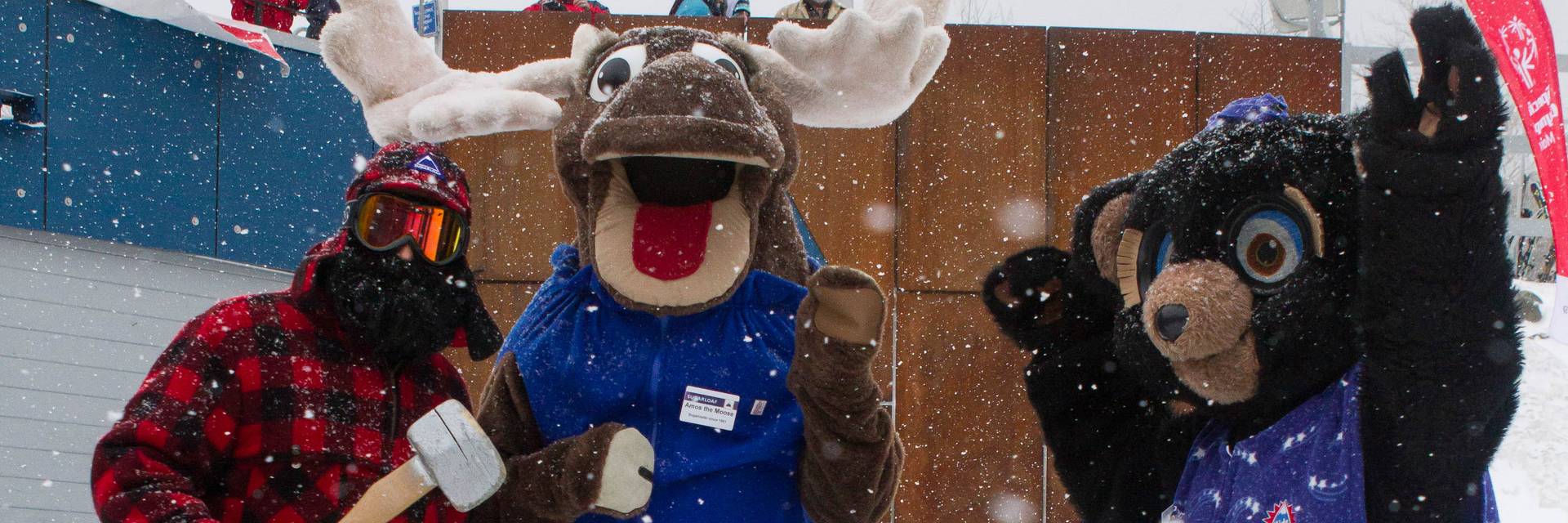 Amos, Pierre and Blueberry