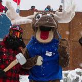 Amos, Pierre and Blueberry