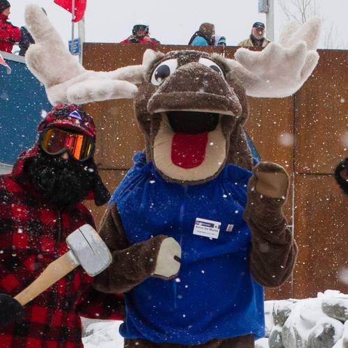 Amos, Pierre and Blueberry