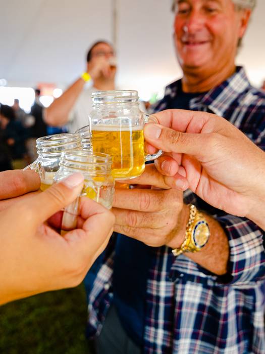 A group saying cheers and clinking their mugs at Maine Brew Fest.