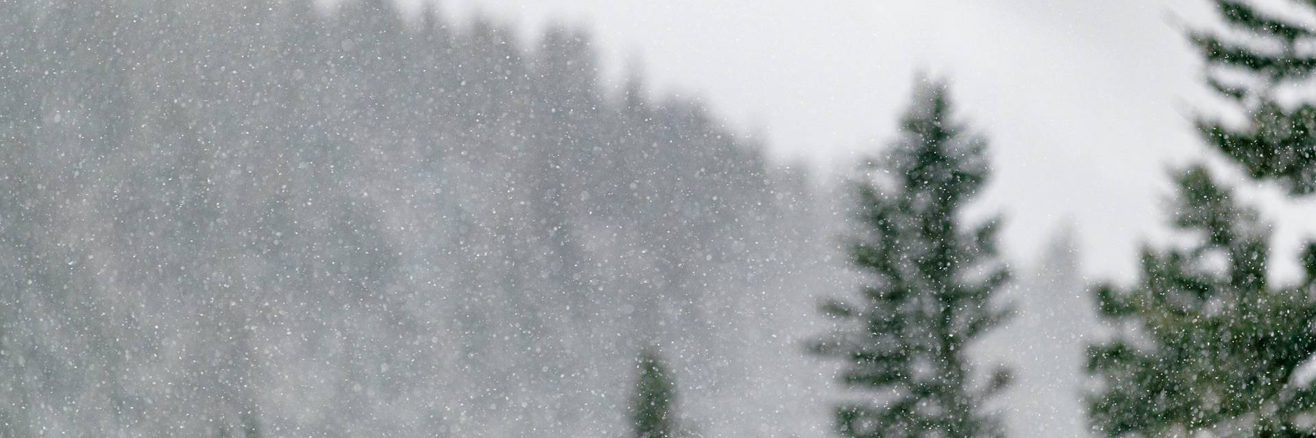 Snow softly coming down on trees at Sunday River.