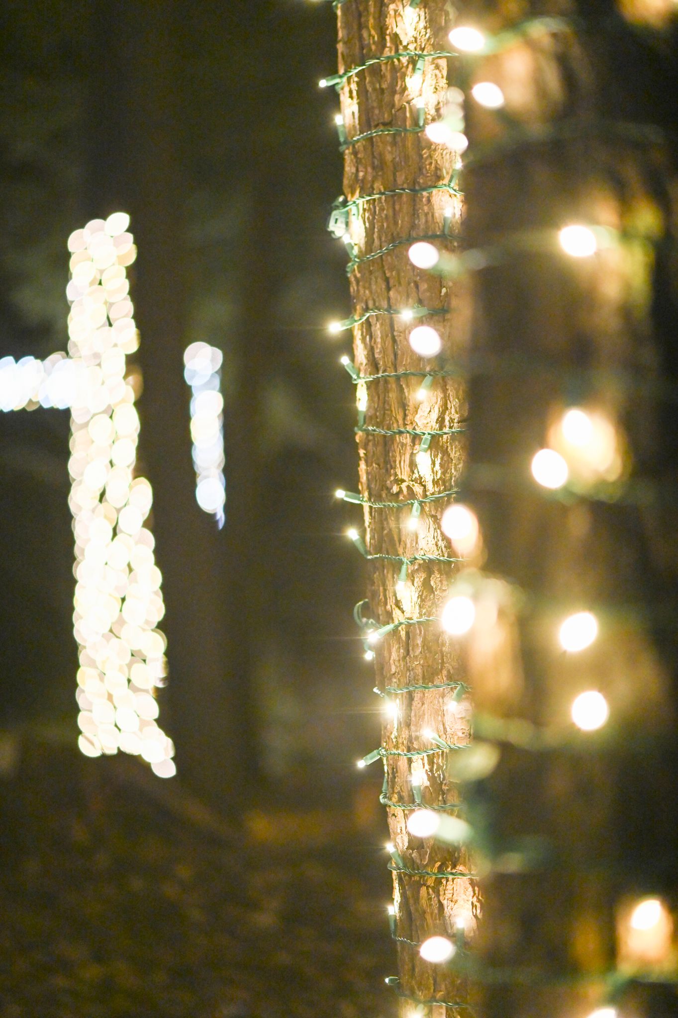 Interior view of Igloo entrance