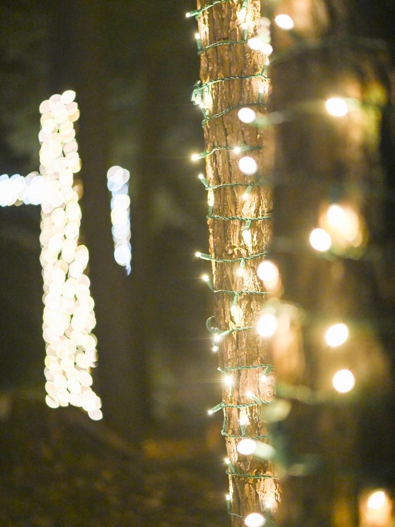 Interior view of Igloo entrance