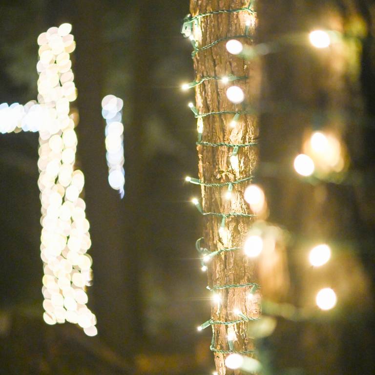 Interior view of Igloo entrance