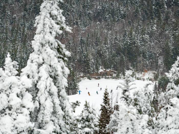 A group of people skiing on a trail at Sunday River with snowcovered trees.