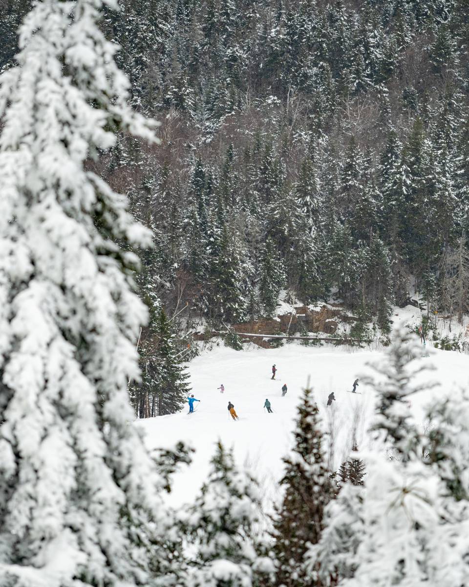 A group of people skiing on a trail at Sunday River with snowcovered trees.