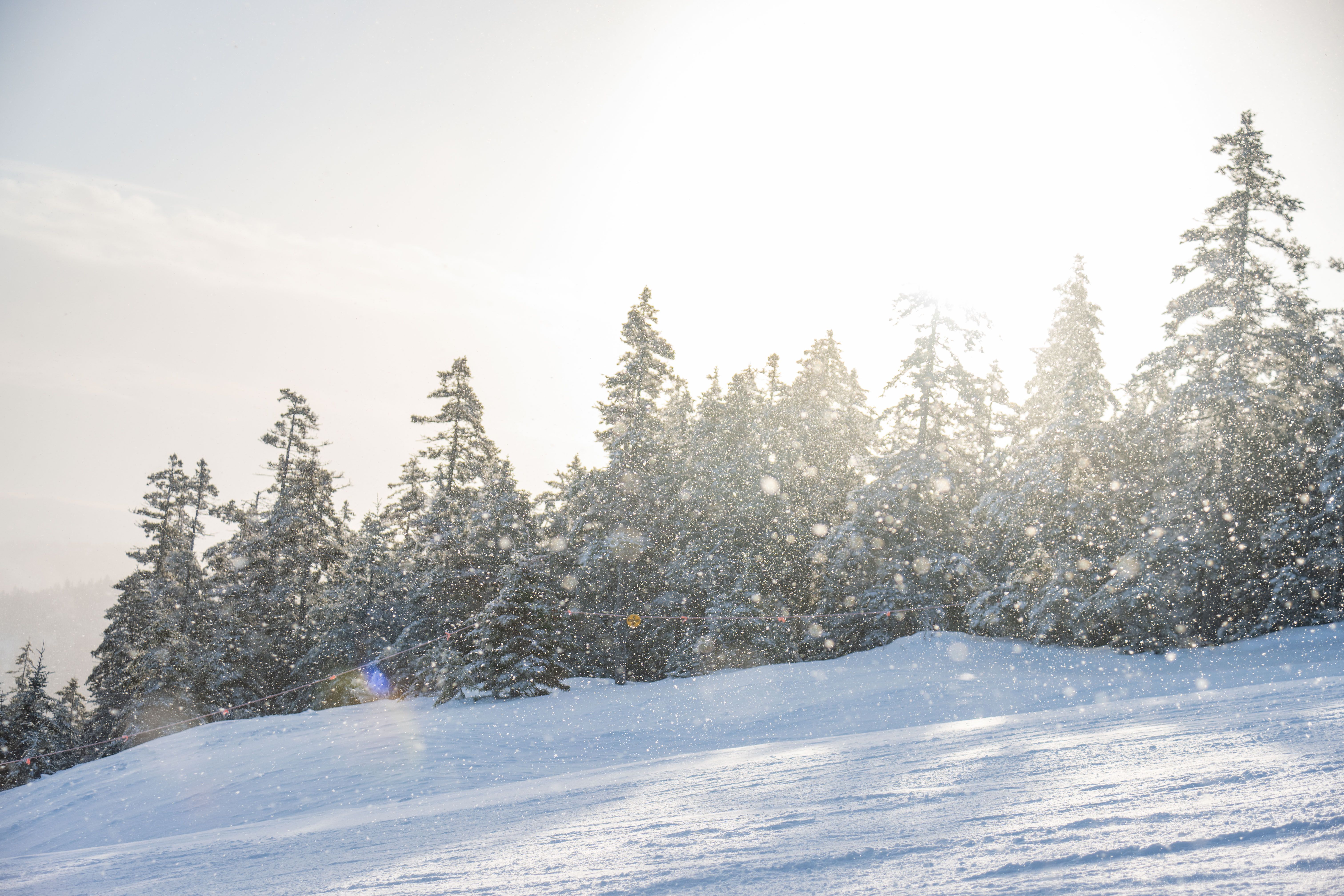Snow falling in the sun at Sunday River.