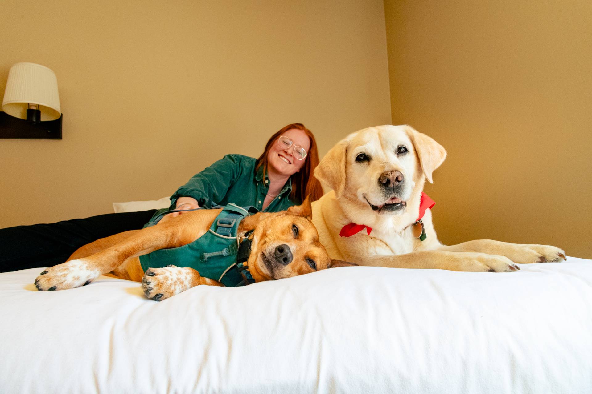 Dogs sitting on a bed with their owner at the Snow Cap Inn at Sunday River.
