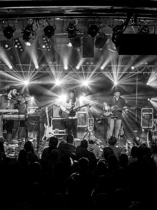 Pink Talking Fish playing live