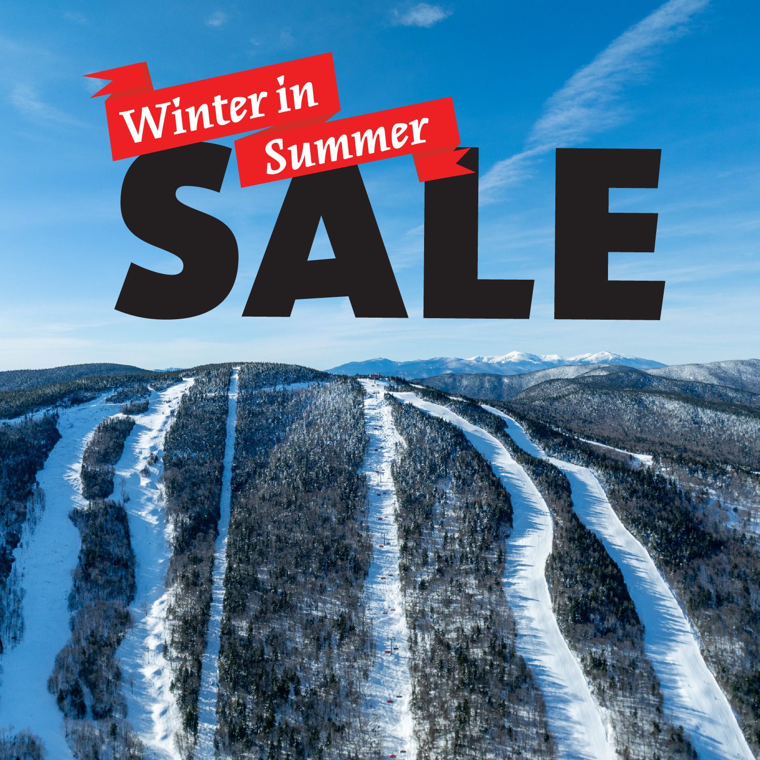 Winter in Summer Sale logo with trails in the background.