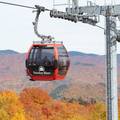 People taking a Chondola ride at Sunday River in the fall.