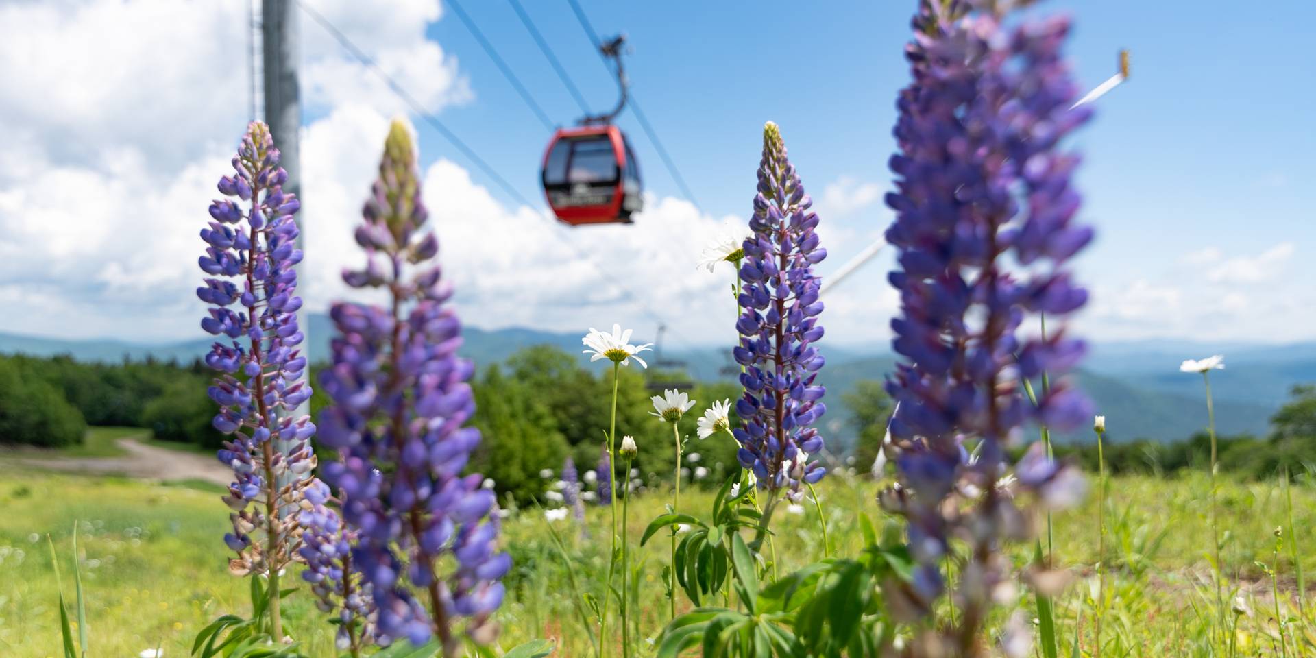 A Chondola Cabin at Sunday River in the summer for scenic lift rides.