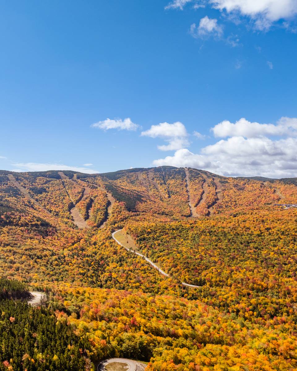 Fall foliage at Sunday River.