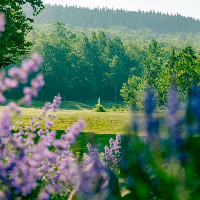 Spring flowers like the green of a hole at the Sunday River Golf Club.