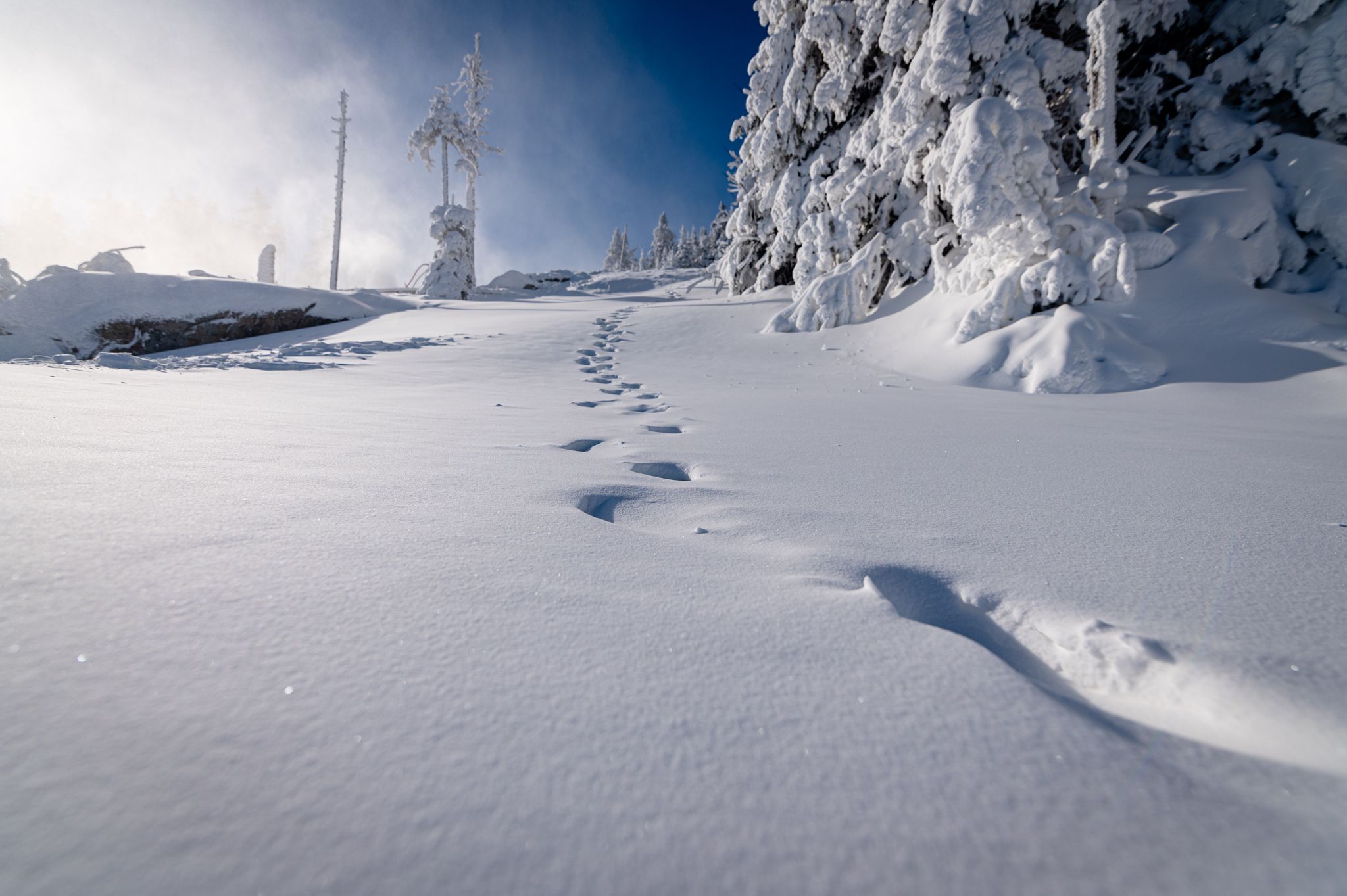 Fluffy snow with tracks walking up the hill at Sunday River.