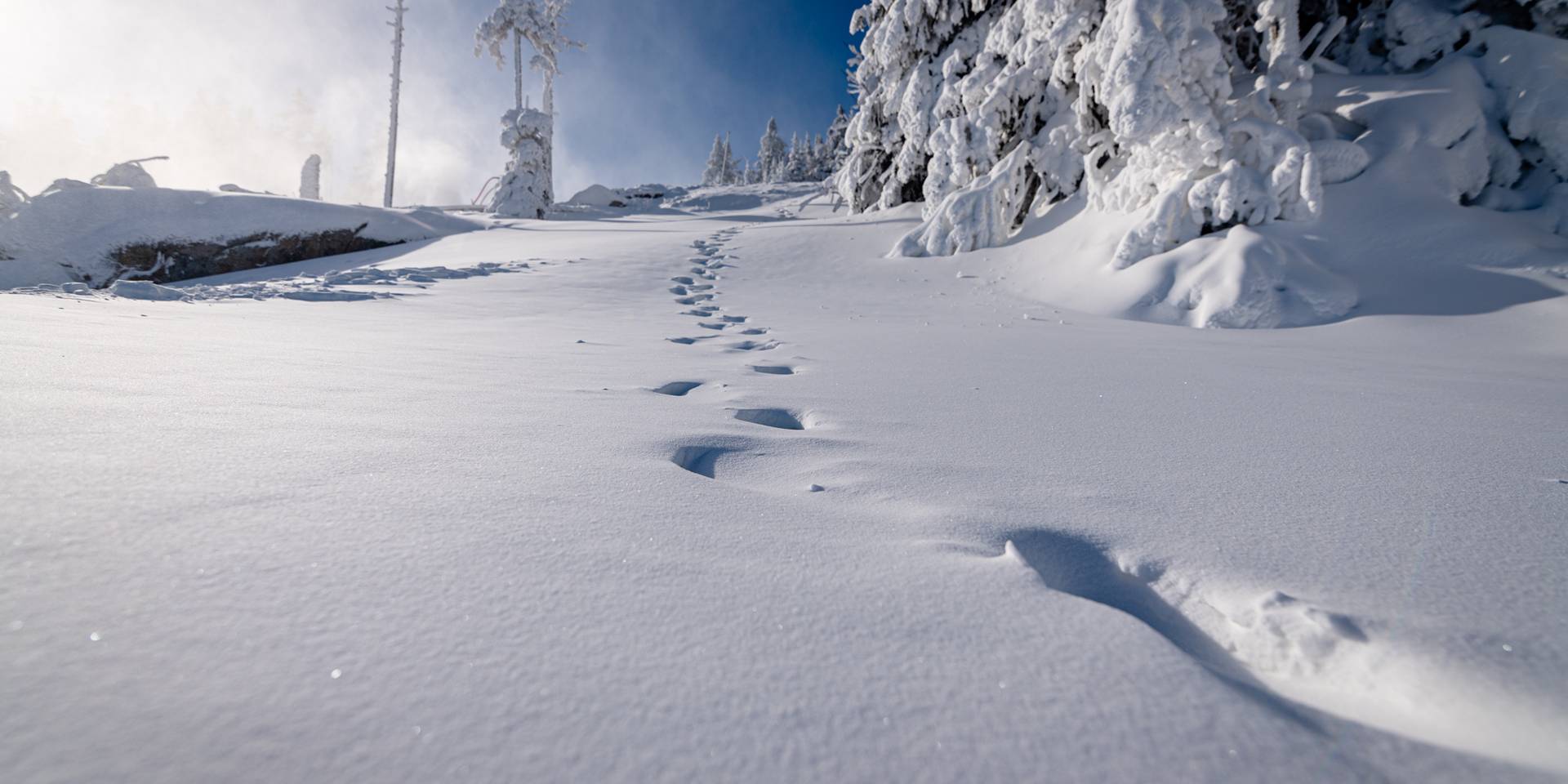 Fluffy snow with tracks walking up the hill at Sunday River.