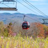 Fall foliage with the Chondola in the background.