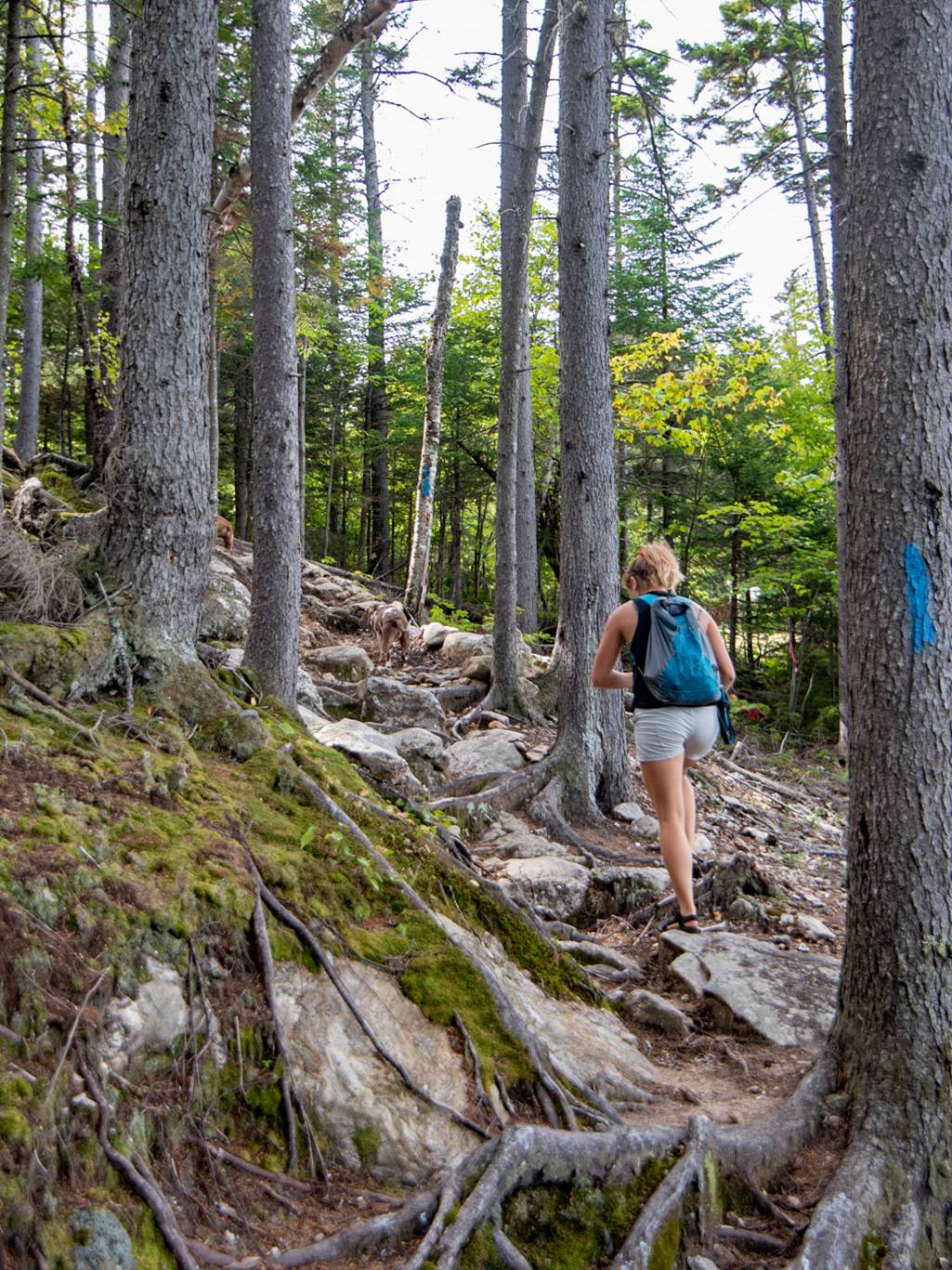 a hiker traveling up a trail.