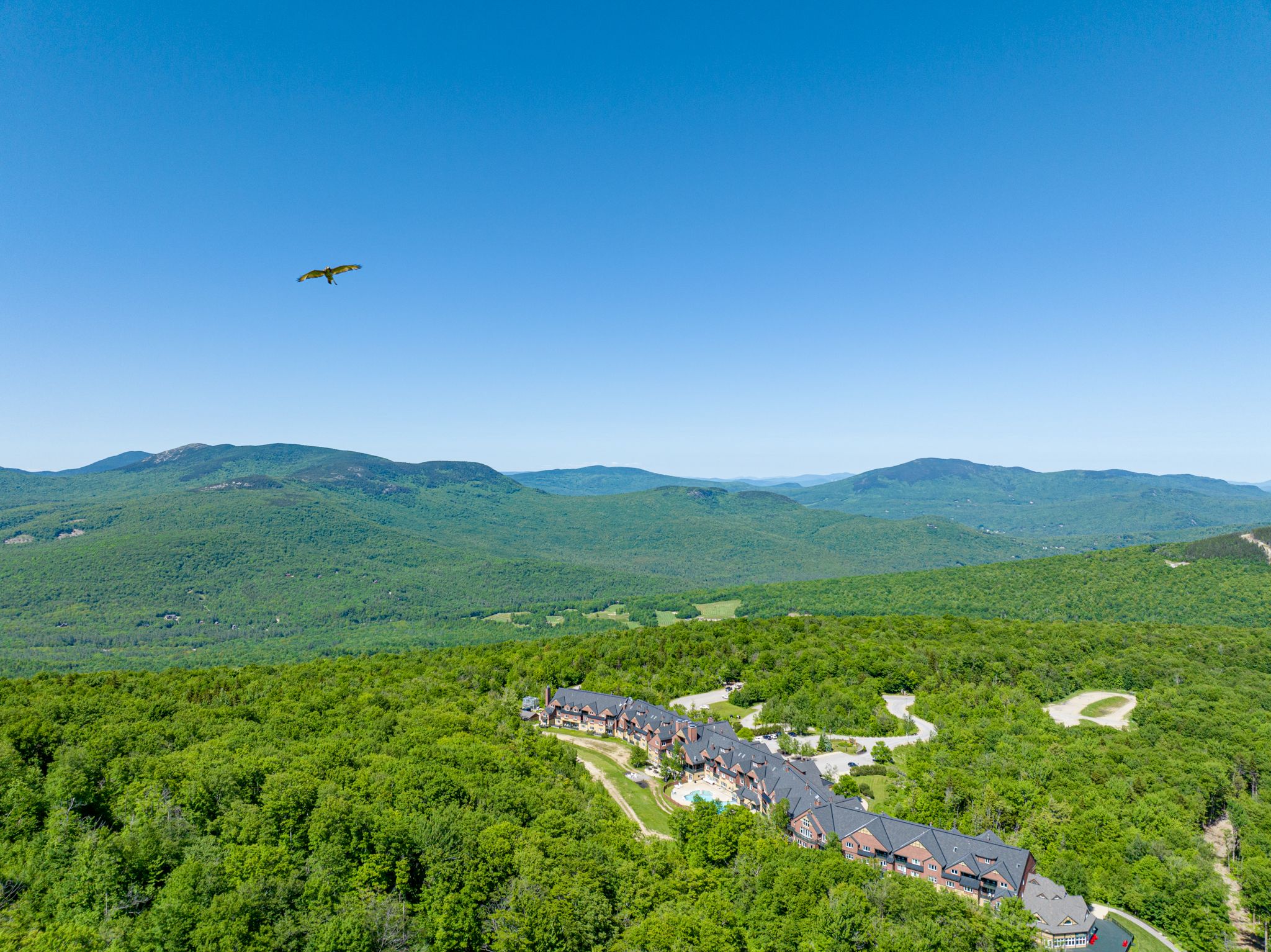 An aerial view of The Jordan in the summer time.
