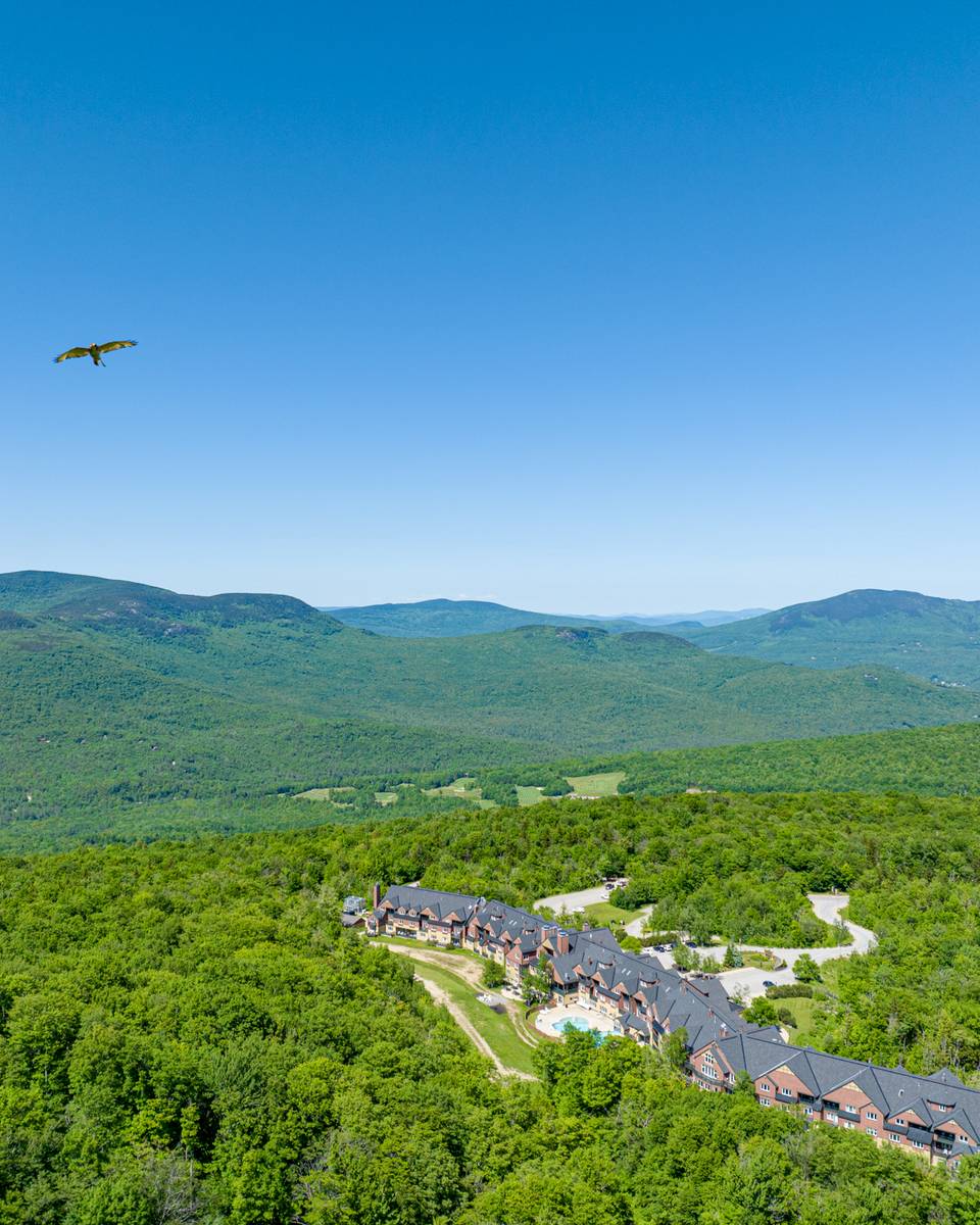 An aerial view of The Jordan in the summer time.