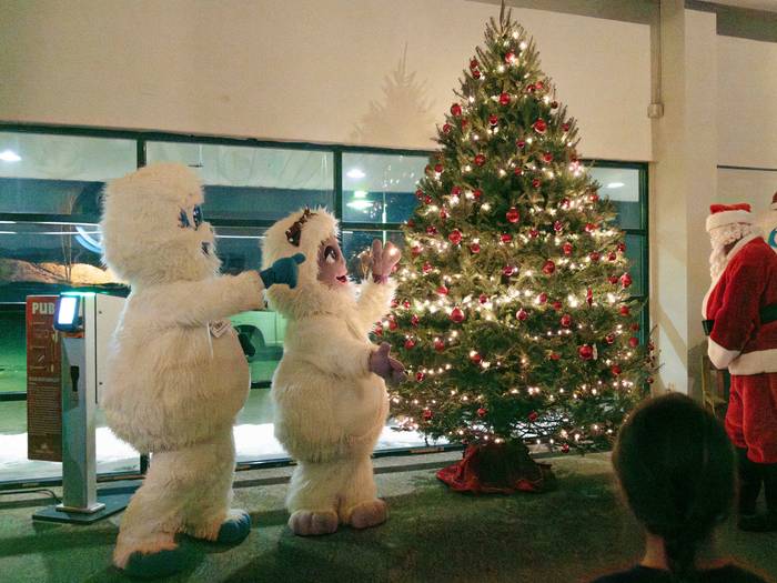 Eddy and Betty the Yetis presenting a Christmas tree at Sunday River.