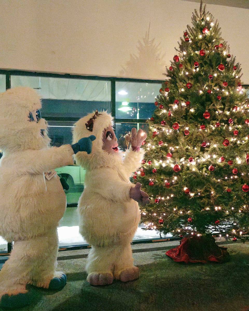 Eddy and Betty the Yetis presenting a Christmas tree at Sunday River.