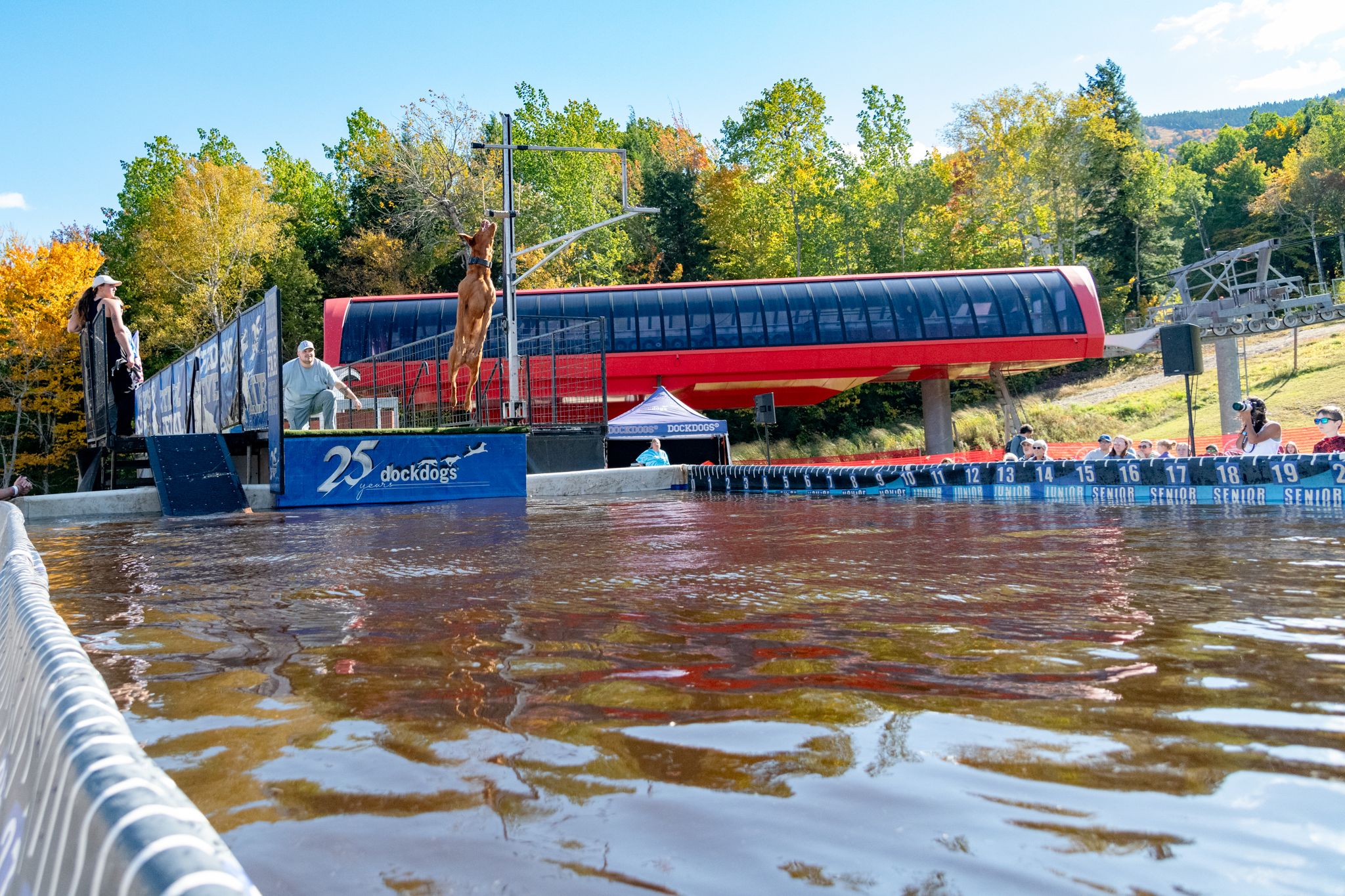 A dog leaping into the air to catch a toy during the Ruff Mountain Challenge, with Dock Dogs, at Sunday River.