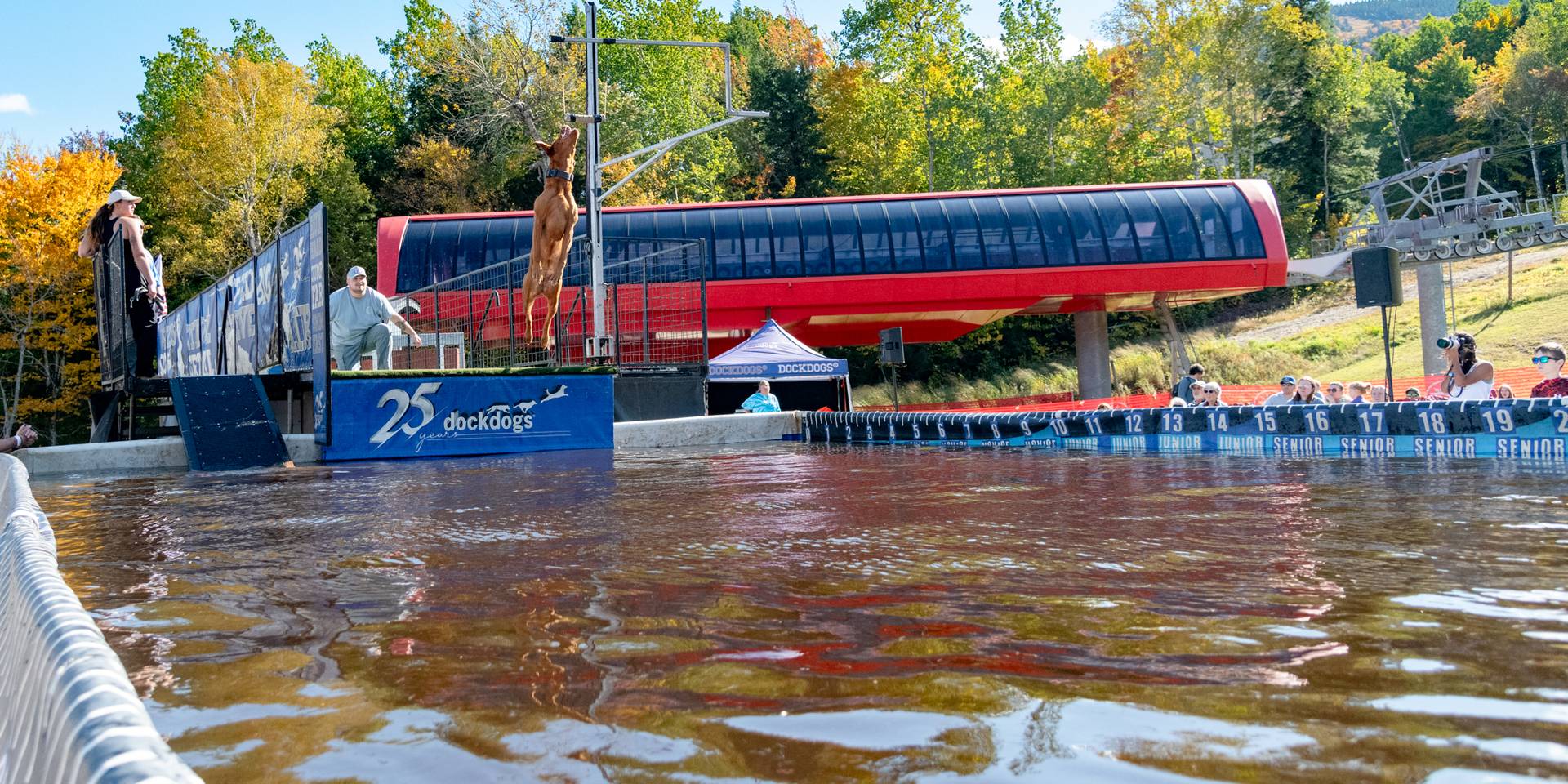 A dog leaping into the air to catch a toy during the Ruff Mountain Challenge, with Dock Dogs, at Sunday River.