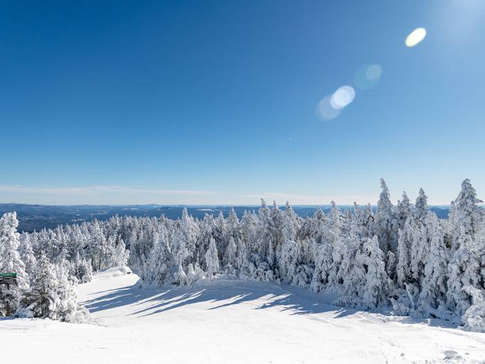 The snow-covered tree line of Oz at Sunday River.