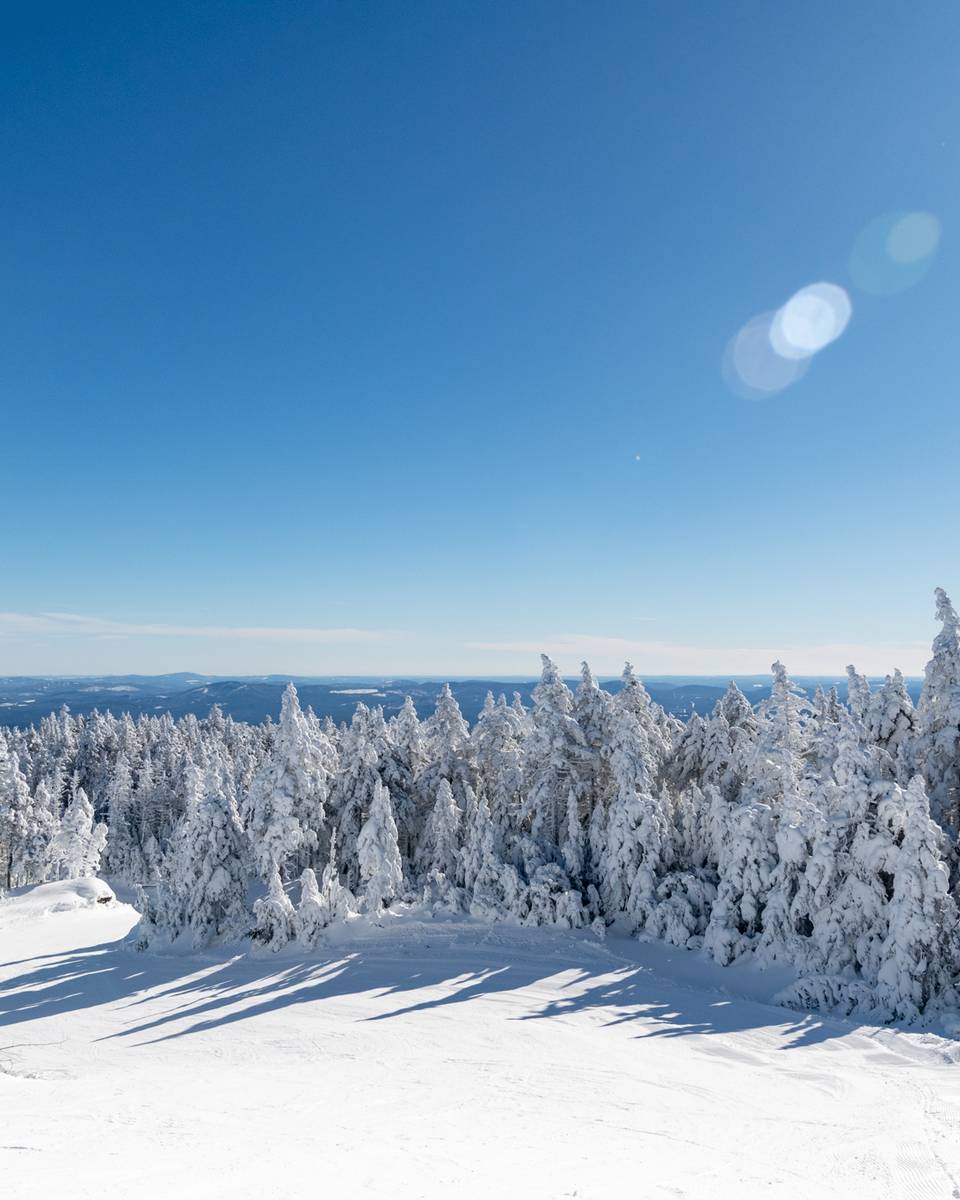 The snow-covered tree line of Oz at Sunday River.