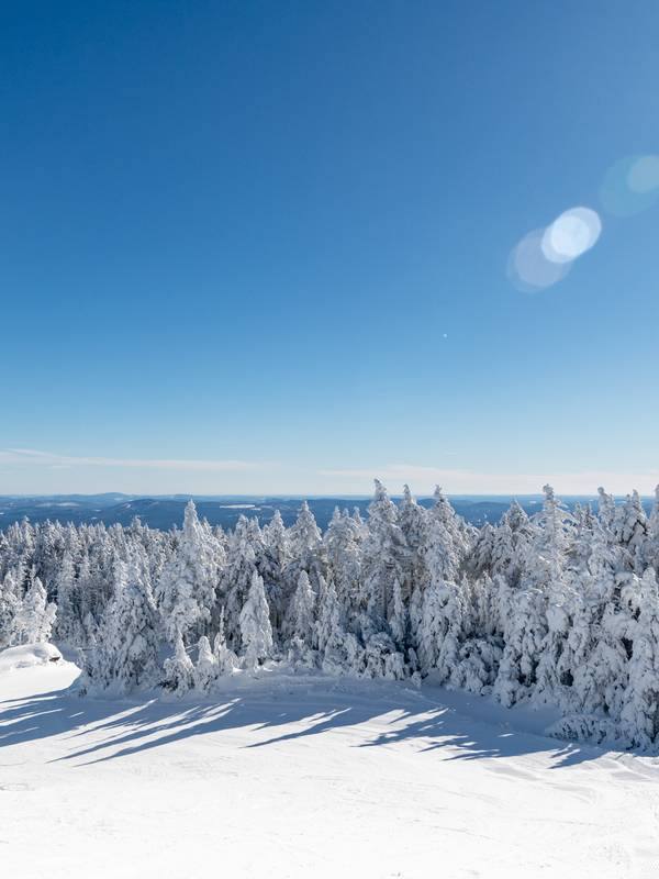 Snowy trees in the mountains at Sunday River Resort.
