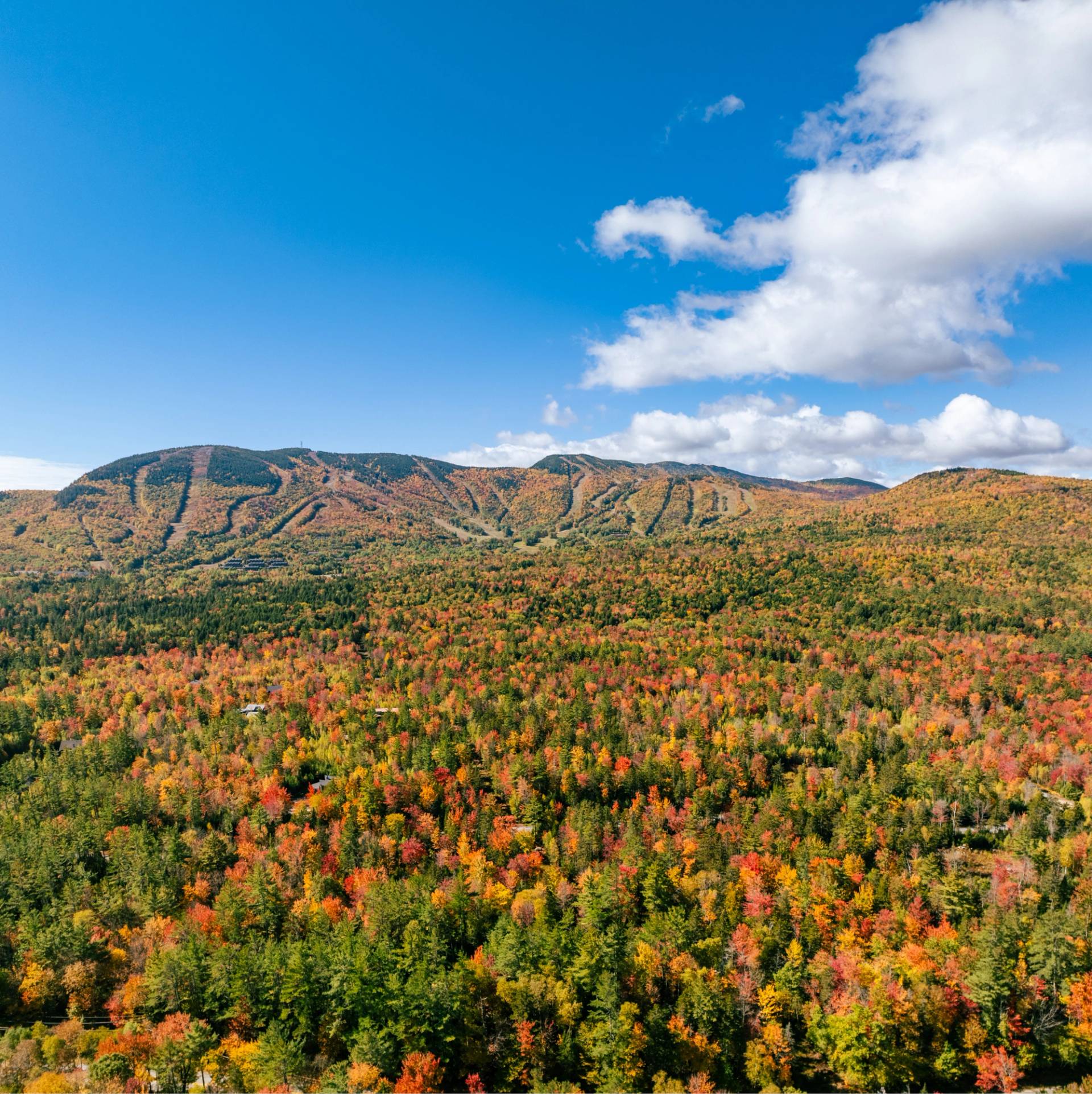 Fall scenery with colorful trees at Sunday River in the mountains.