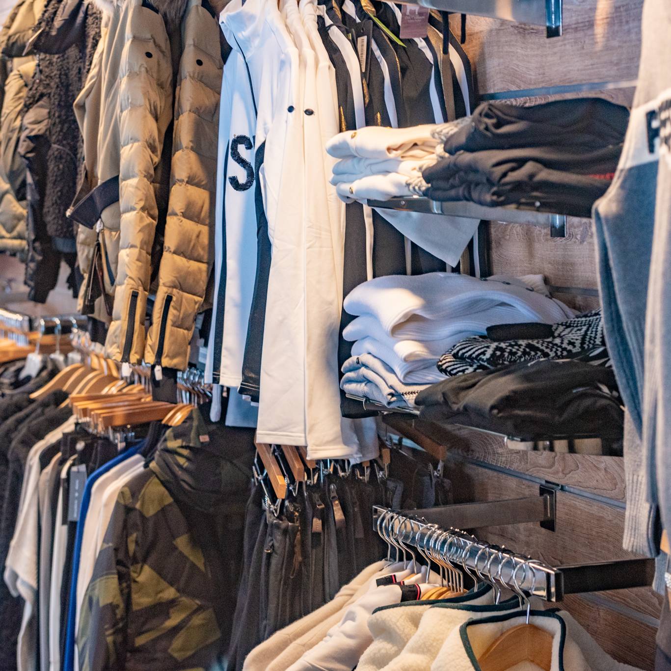 Aster and Birch at Sunday River.