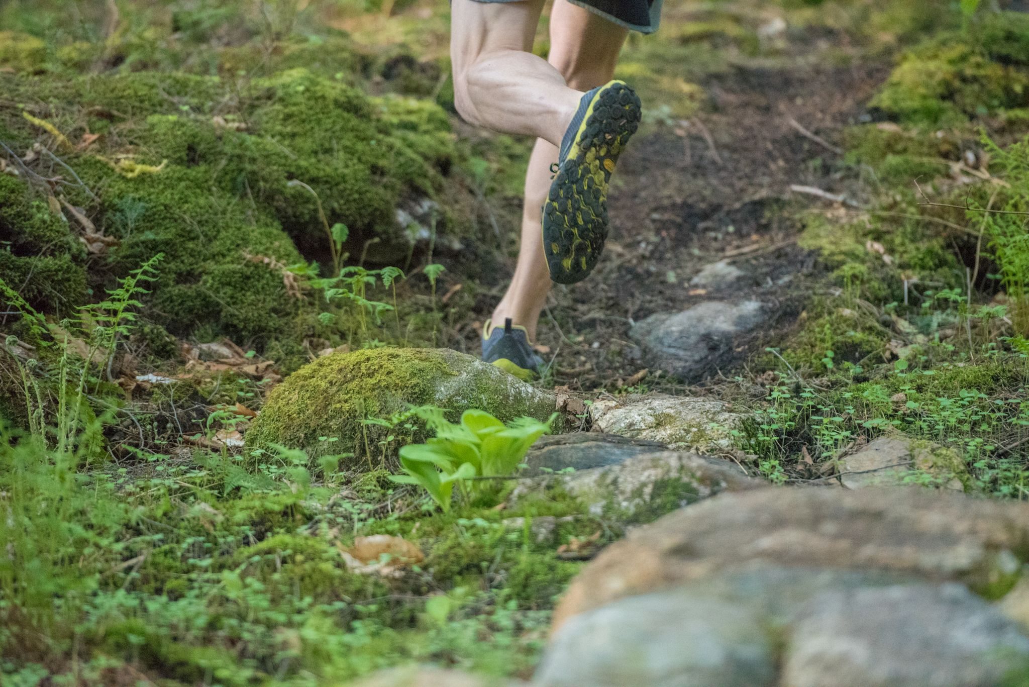 A hiker walking up a trail.