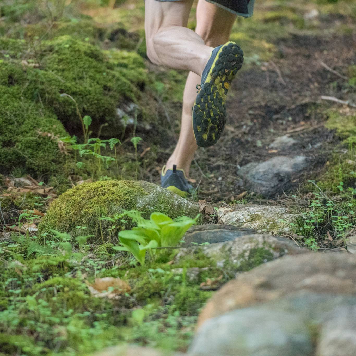 A hiker walking up a trail.