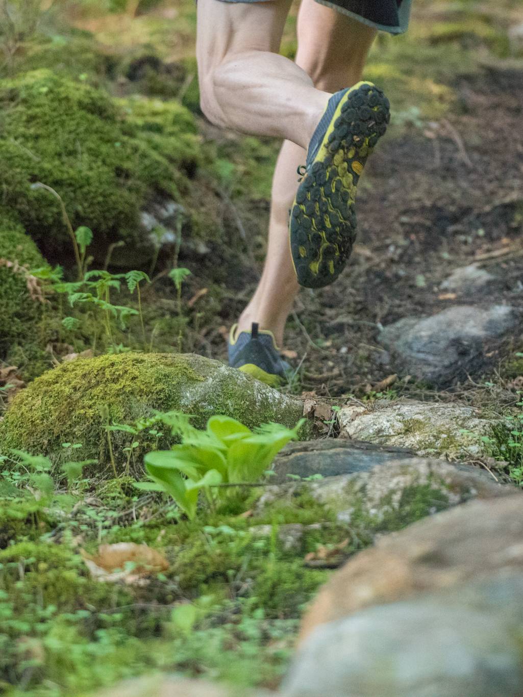 A hiker walking up a trail.