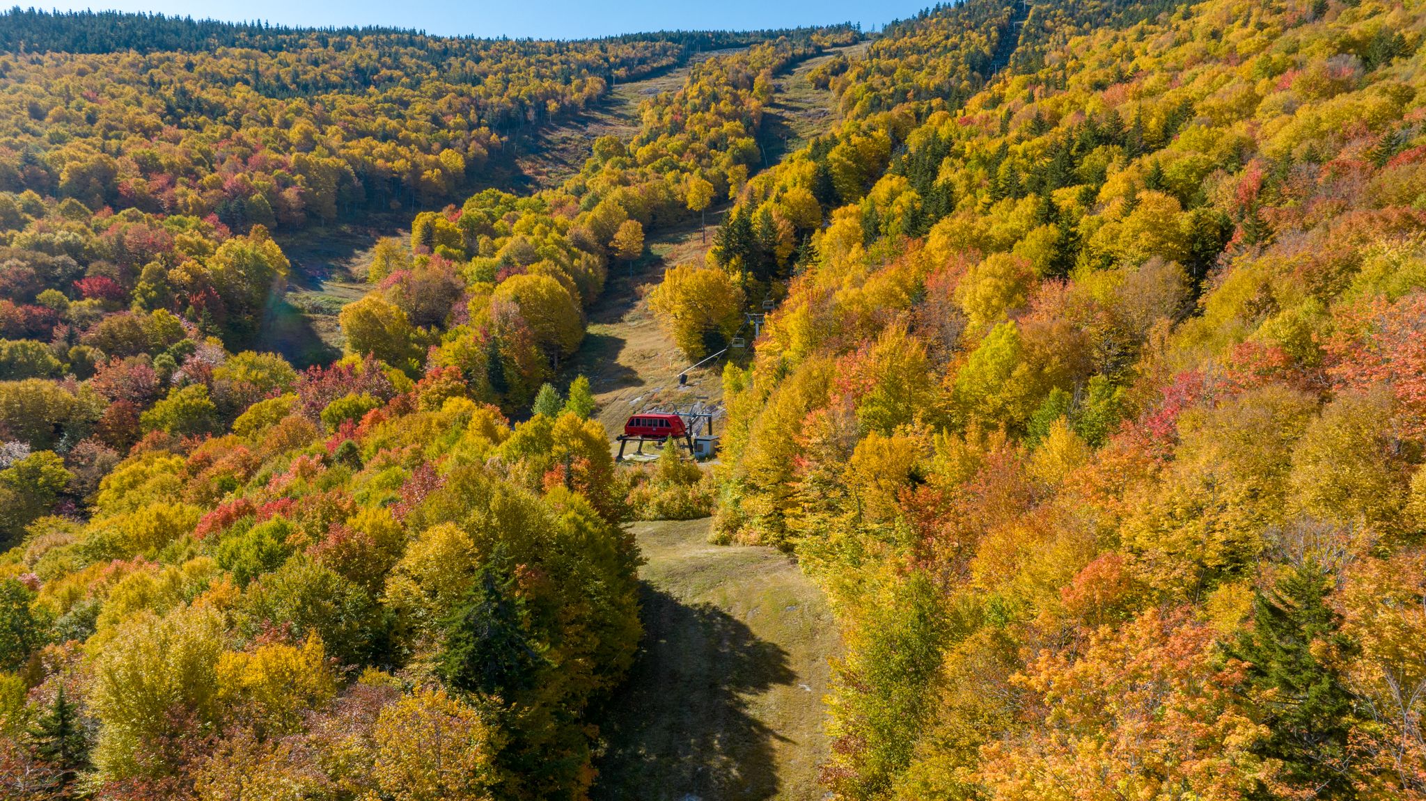 Fall trees and trails at Sunday River.