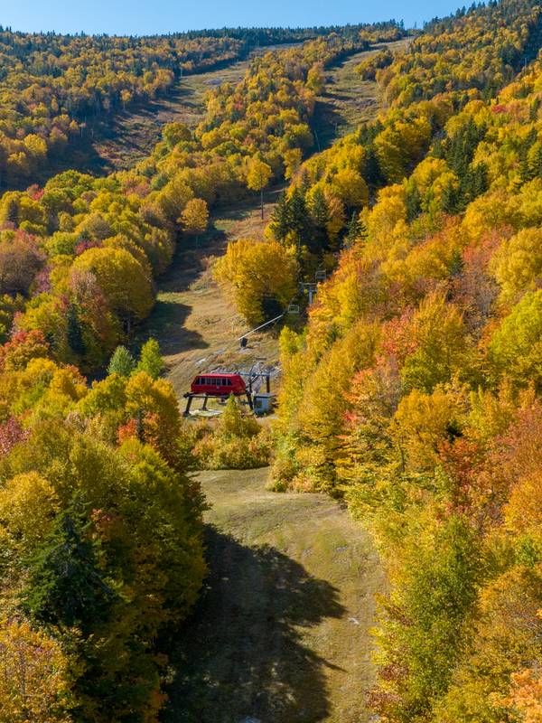 Fall trees and trails at Sunday River.