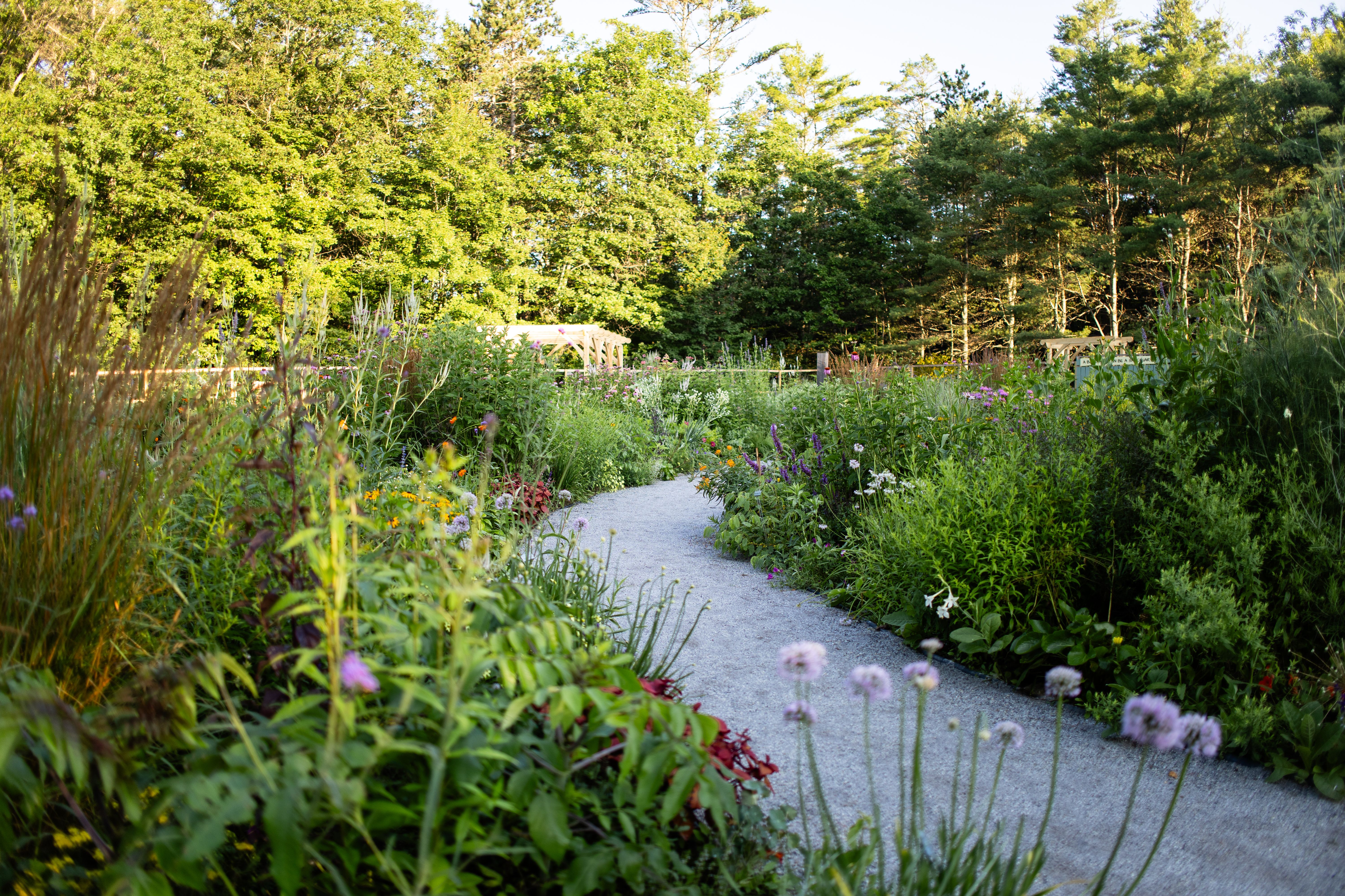 Valentine Farm in Bethel, Maine near Sunday River. 