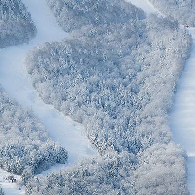 Snow covered trees and trails over the Tempest lift at Sunday River.