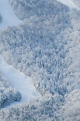 Snow covered trees and trails over the Tempest lift at Sunday River.