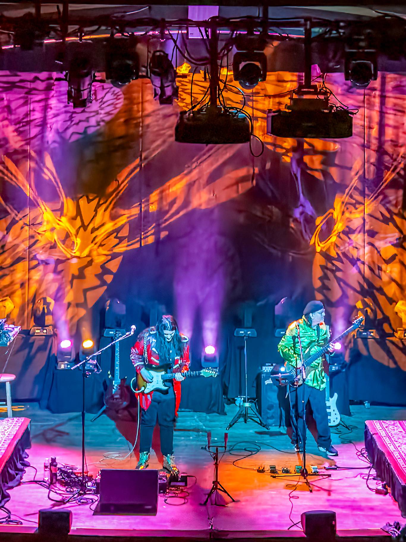 Pink Talking Fish playing live