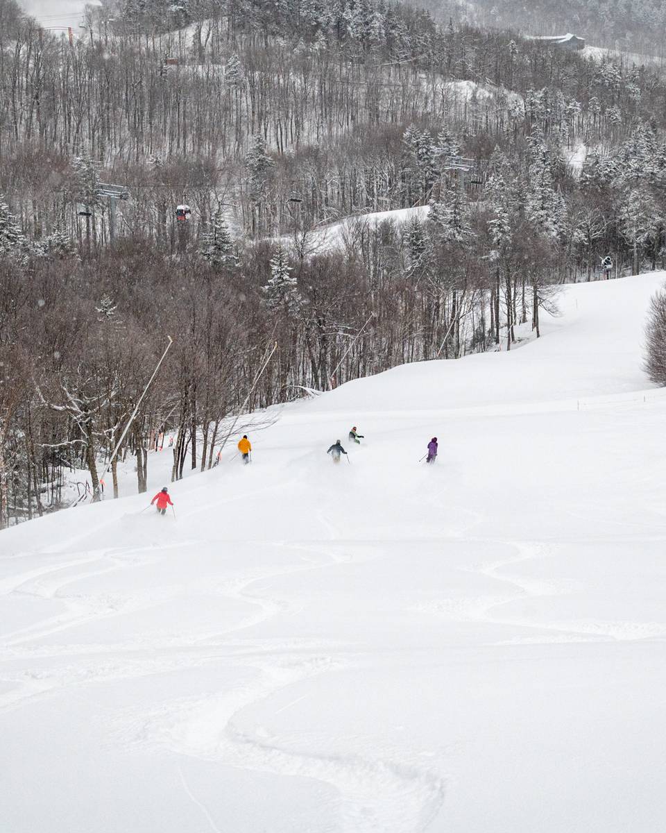 Skiers in a group on a powder day.