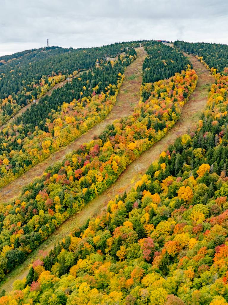 The fall colors on the mountain at Sunday River.