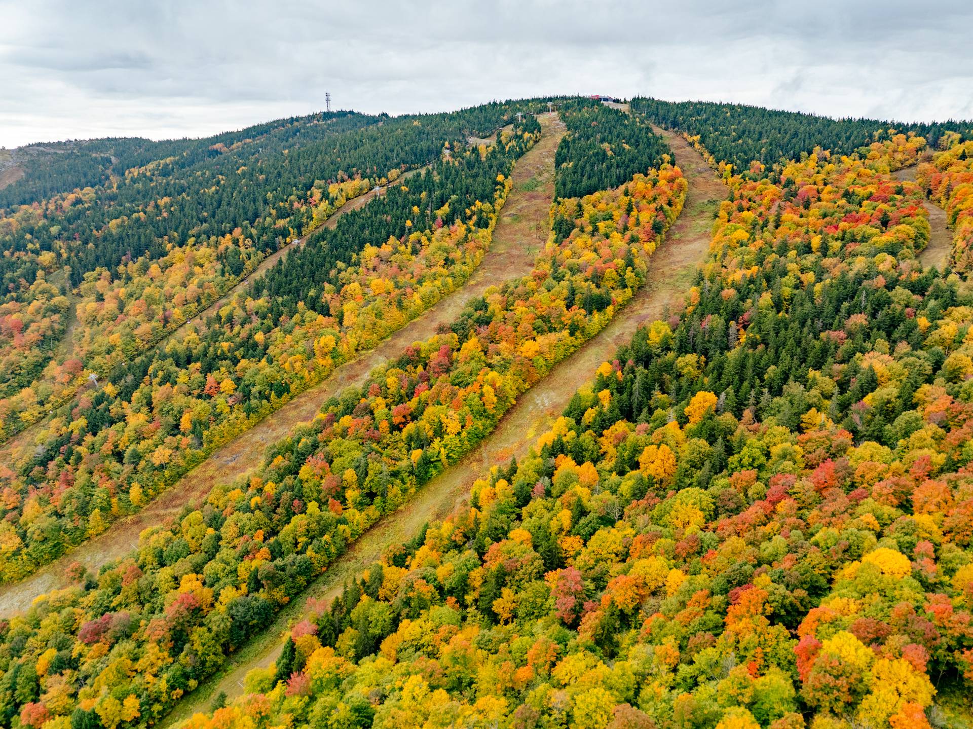Fall scenery with colorful trees at Sunday River in the moutains.