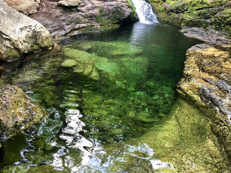 A local swimming hole.