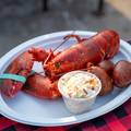 A lobster served with corn on the cob.