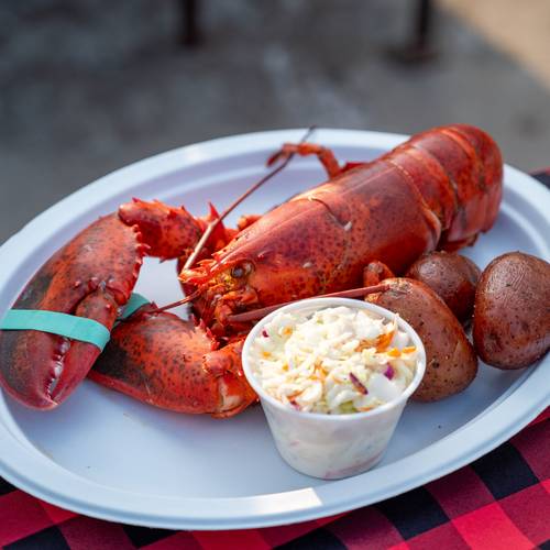 A lobster served with corn on the cob.